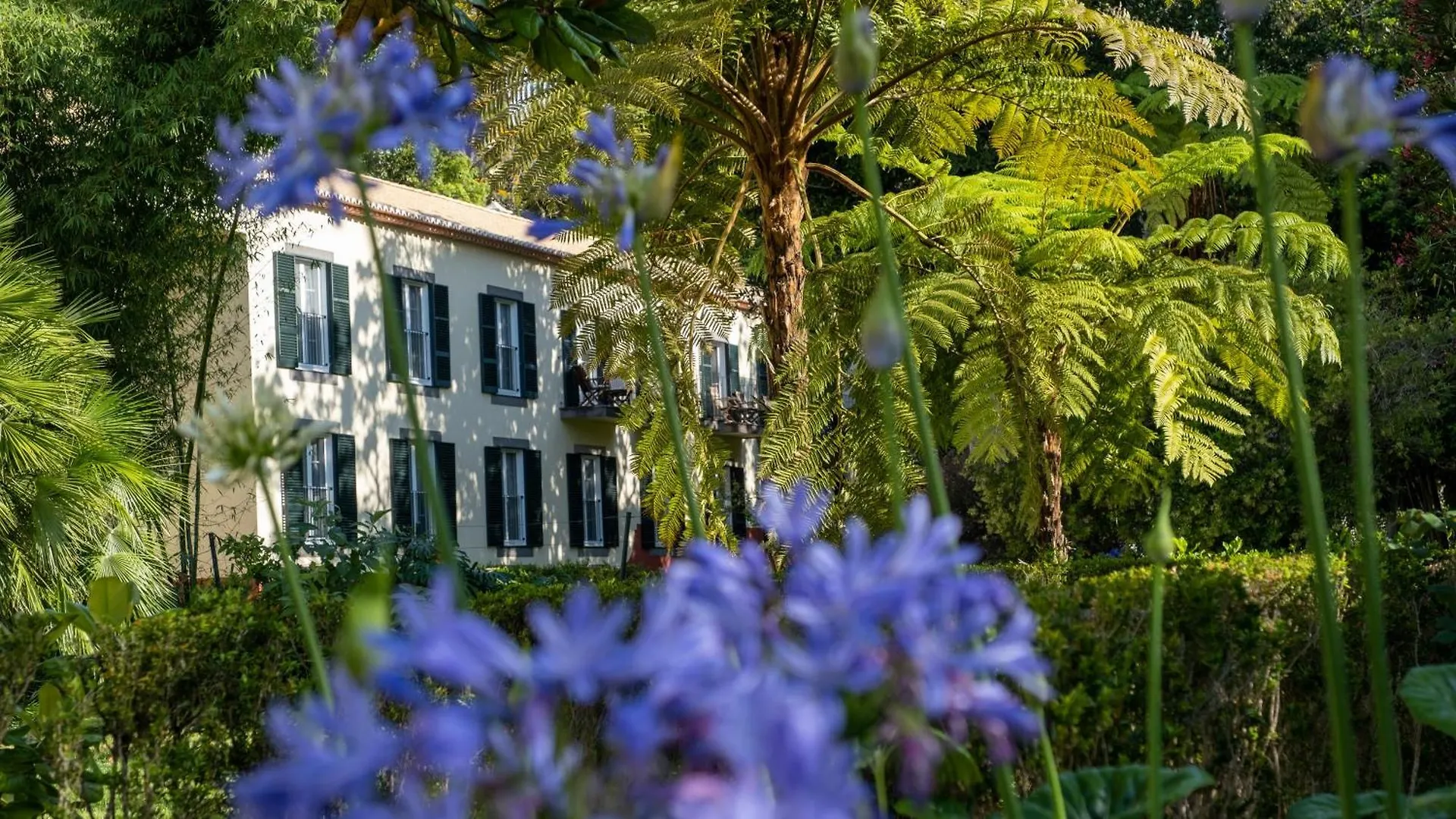 Quinta Da Bela Vista Hotel Funchal