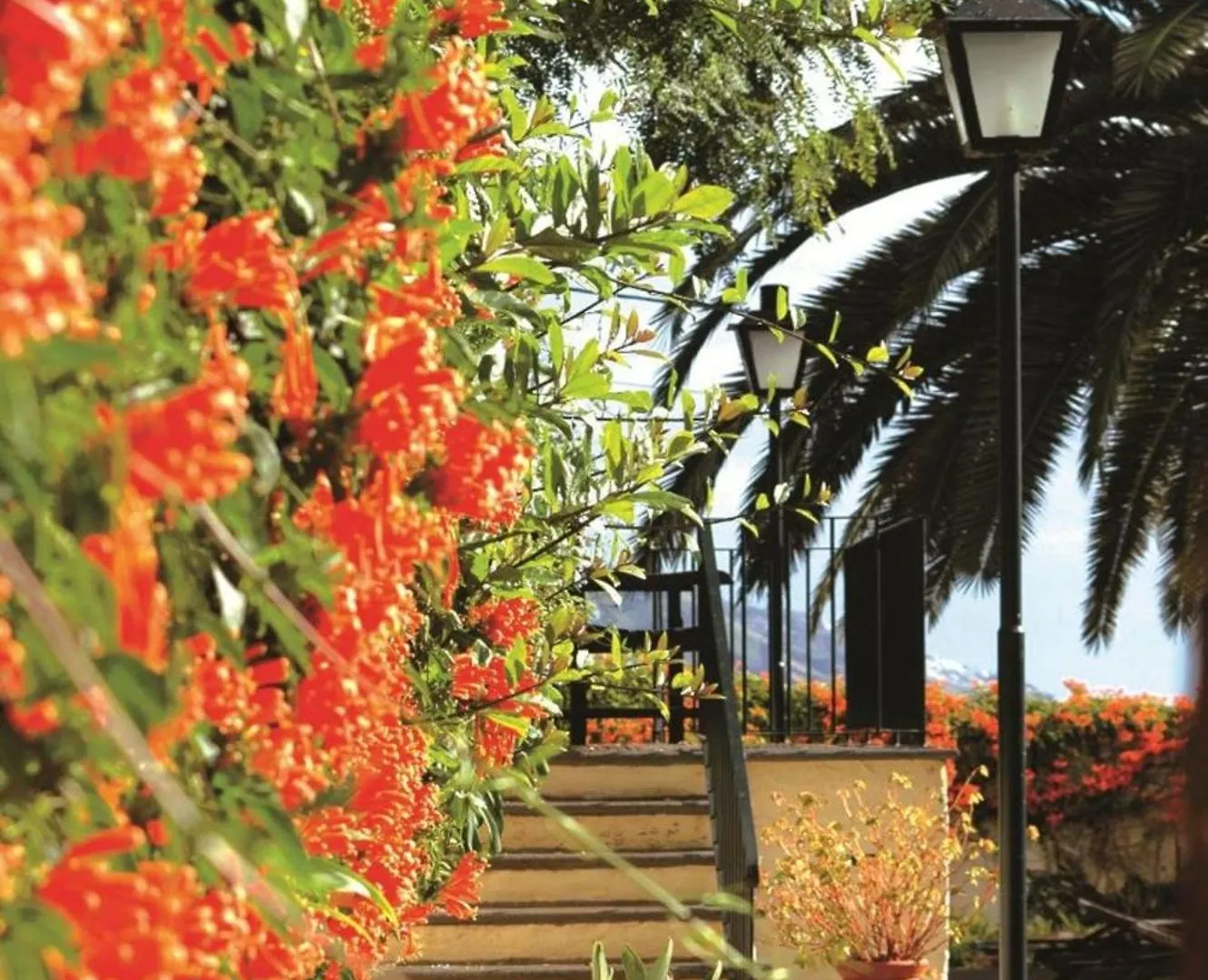 Quinta Da Bela Vista Hotel Funchal   Funchal (Madeira)