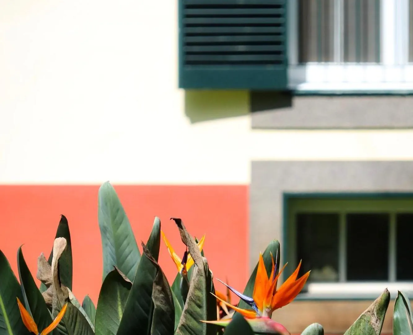 Quinta Da Bela Vista Hotel Funchal